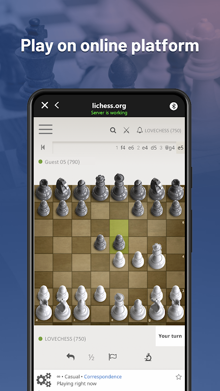 Chessnut スクリーンショット 2