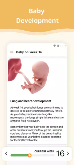 Pregnancy App Capture d'écran 2