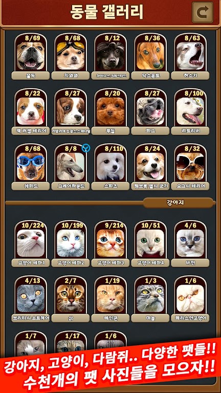 애니멀 맞고 - 동물 팻 고스톱 Capture d'écran 4