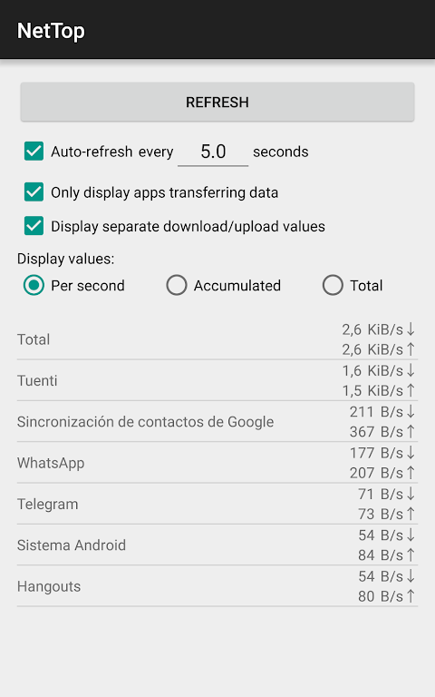 NetTop: RealTime Network Meter Captura de tela 2