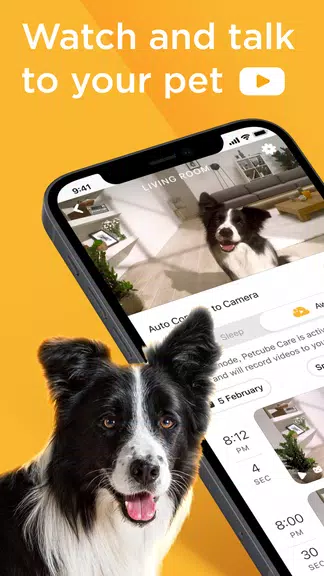 Petcube स्क्रीनशॉट 1