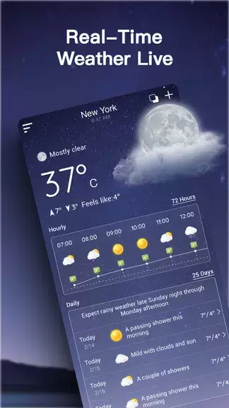 Live Weather Forecast Captura de pantalla 2