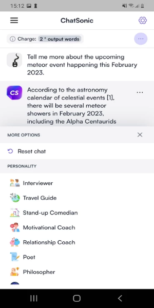 ChatSonic Screenshot 1