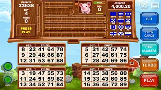 Video Bingo Little Farm应用截图第3张