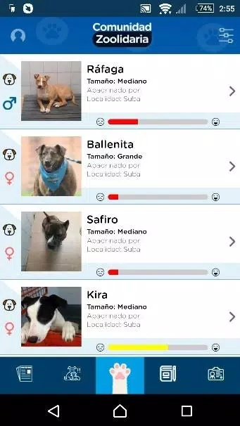 Distrito Appnimal Screenshot 1