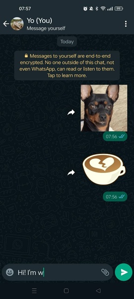 WhatsApp Messenger Capture d'écran 1