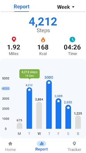 Pedometer - Step Tracker Captura de tela 3