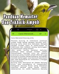 Suara Burung Sirtu Pikat MP3 Offline Captura de pantalla 4