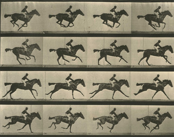 Run Muybridge, run! Screenshot 1