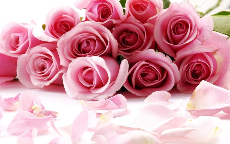 Roses Jigsaw Puzzles Screenshot 3