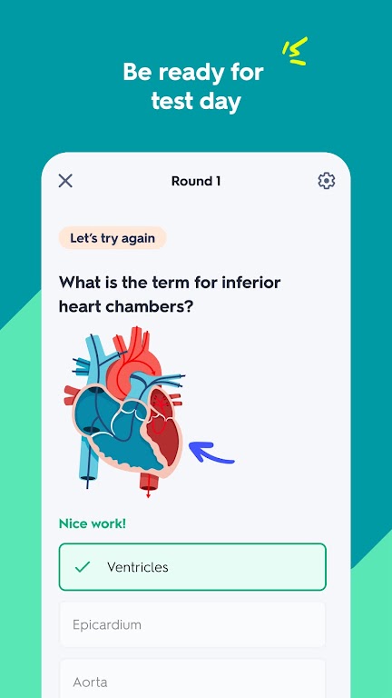 Quizlet: aprendizado com IA Captura de tela 3