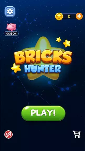 Bricks Hunter : Cube Puzzle 스크린샷 1