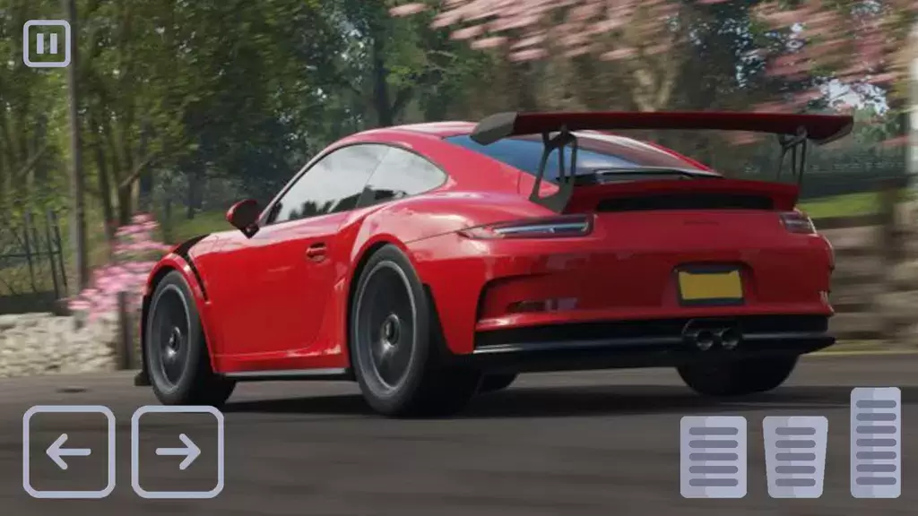 Racing Porsche Carrera 911 GT3 Capture d'écran 4