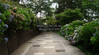 Days Of The Hydrangea Path Screenshot 1