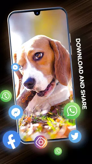 Wallpapers with dogs in 4K Captura de pantalla 3