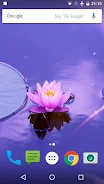 Zen Live Wallpaper Captura de tela 3