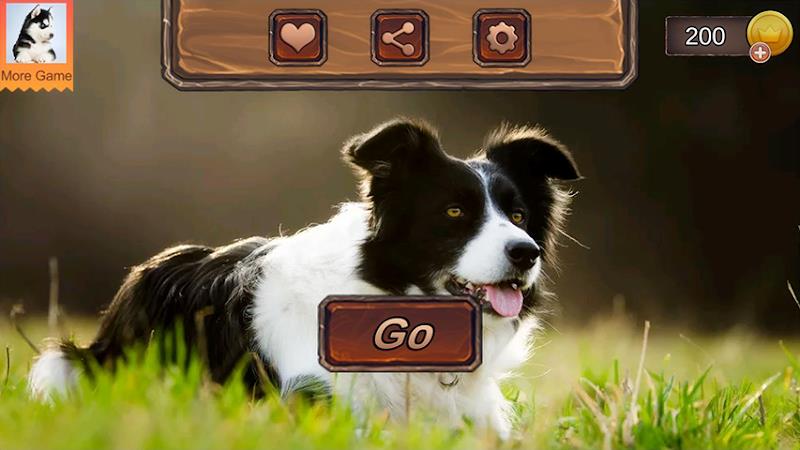 Border Collie Simulator Captura de pantalla 3