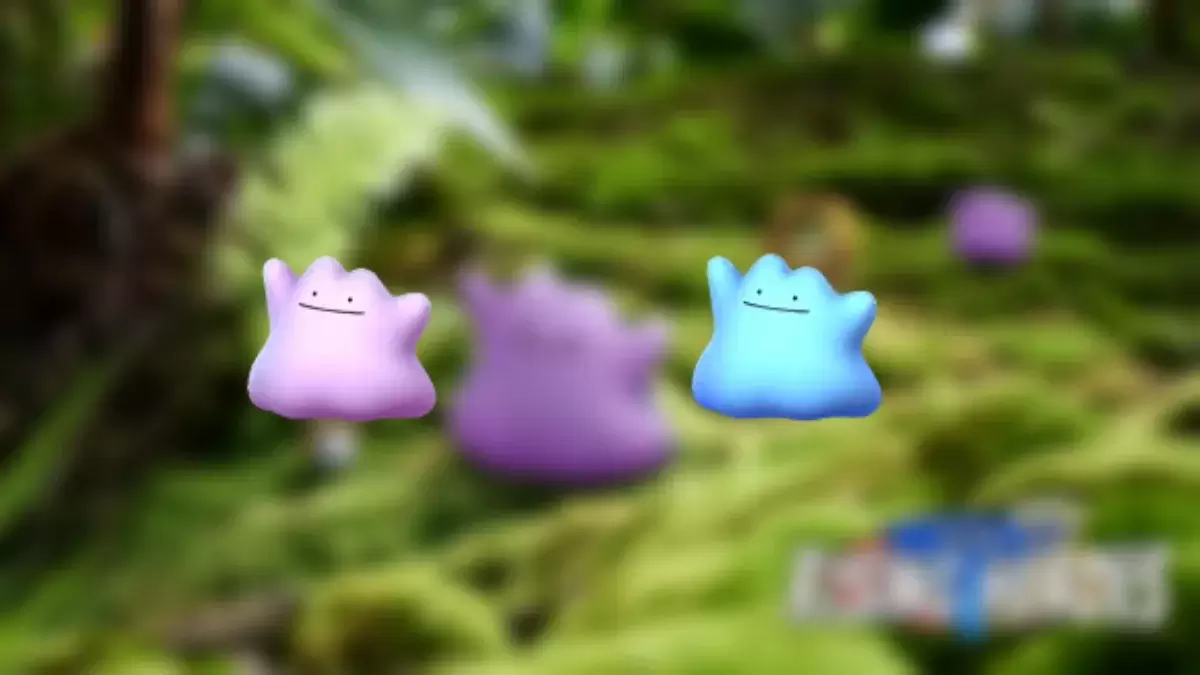Shiny Ditto comparison with its standard form in Pokemon GO