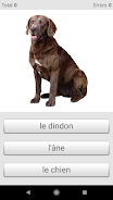 Learn French words with ST Captura de tela 4