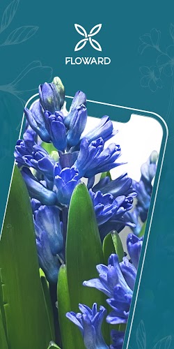 Floward Online Flowers & Gifts Screenshot 1