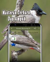 Suara Burung Kutilang Offline Captura de tela 2