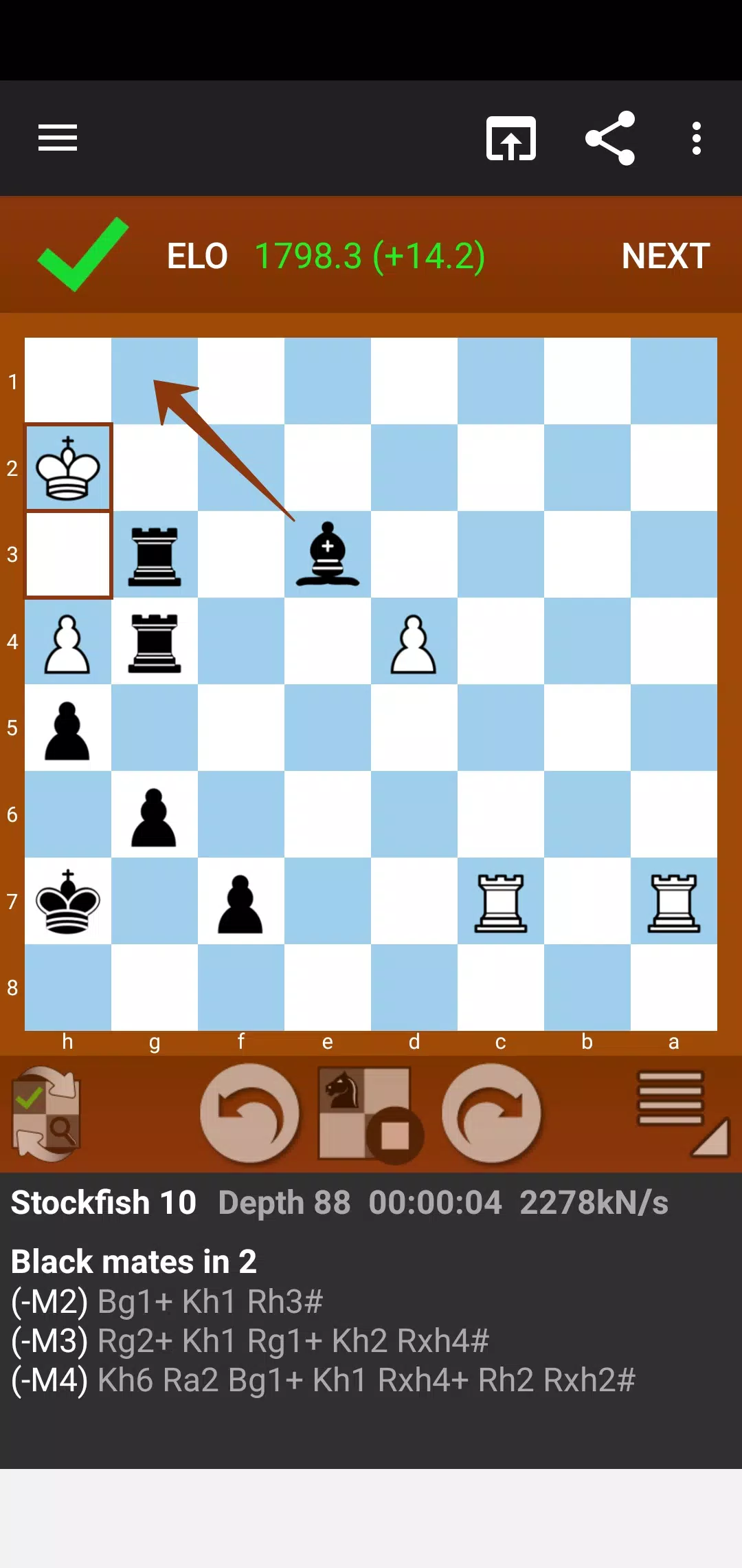 Fun Chess Puzzles 스크린샷 4