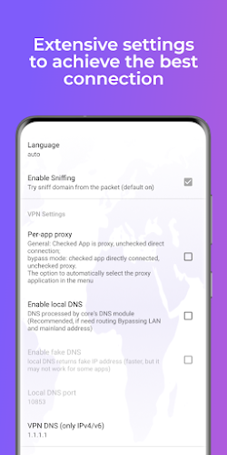 Lena VPN - Fast & Secure VPN Screenshot 3