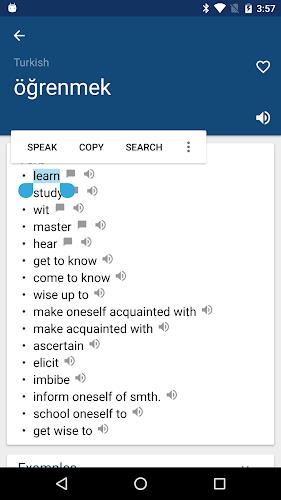 Turkish English Dictionary İng スクリーンショット 1
