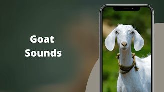 Goat Sounds Скриншот 1
