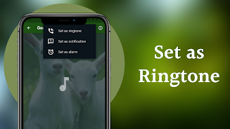 Goat Sounds Скриншот 4