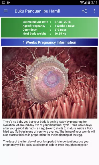 Pregnancy Guide Screenshot 1