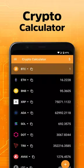 Crypto Calculator Capture d'écran 3