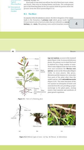 Class 11 Biology NCERT Book 스크린샷 2