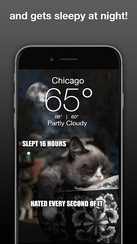 Grumpy Cat Weather Captura de tela 3