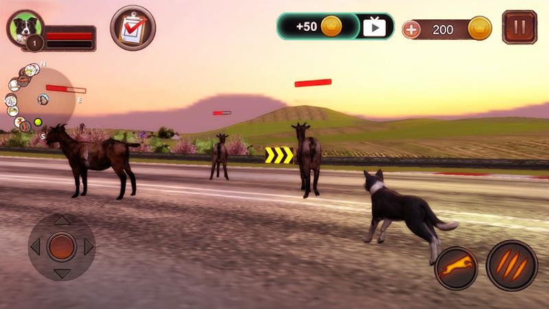 Border Collie Simulator स्क्रीनशॉट 2