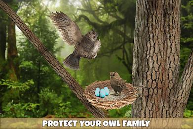 Owl Bird Simulator Birds Game应用截图第4张