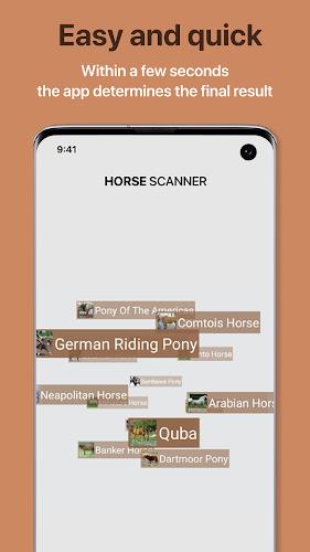 Horse Scanner 스크린샷 2