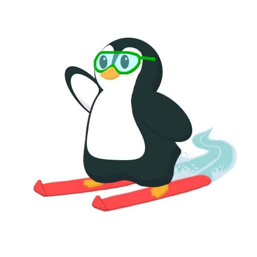 Ski Penguin - Funny Penguin