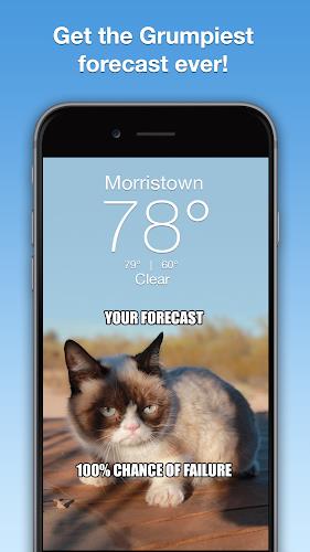 Grumpy Cat Weather Captura de tela 1