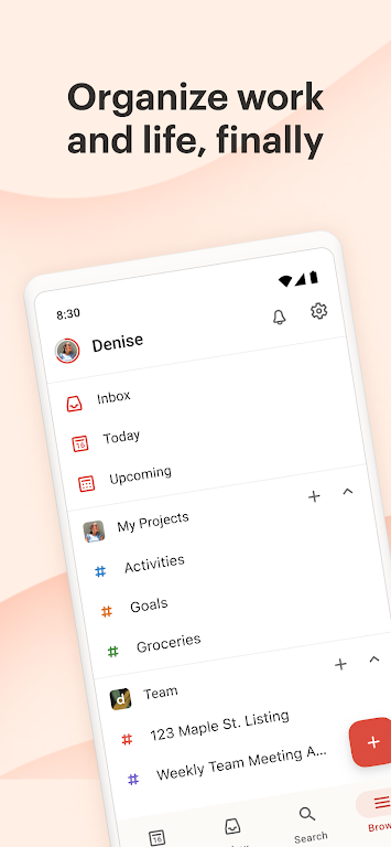 Todoist: Lista & Planner Captura de tela 1