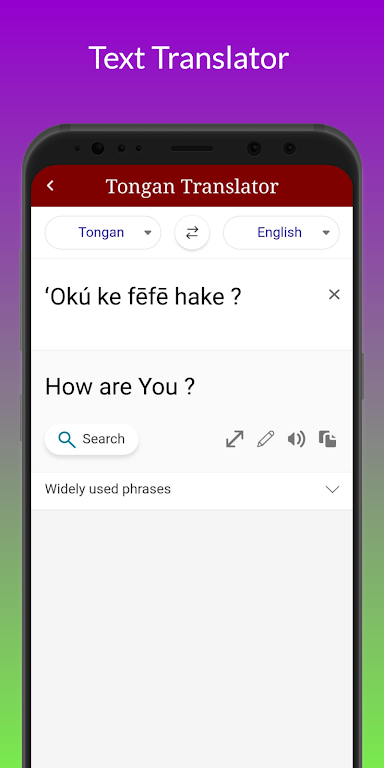 Tongan Translator应用截图第3张