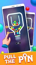 Pull Pin Puzzle Game 스크린샷 2