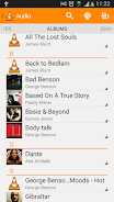 VLC for Android beta應用截圖第2張