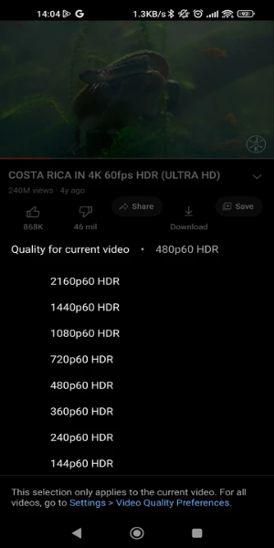 YouTube ReVanced Extended Capture d'écran 2