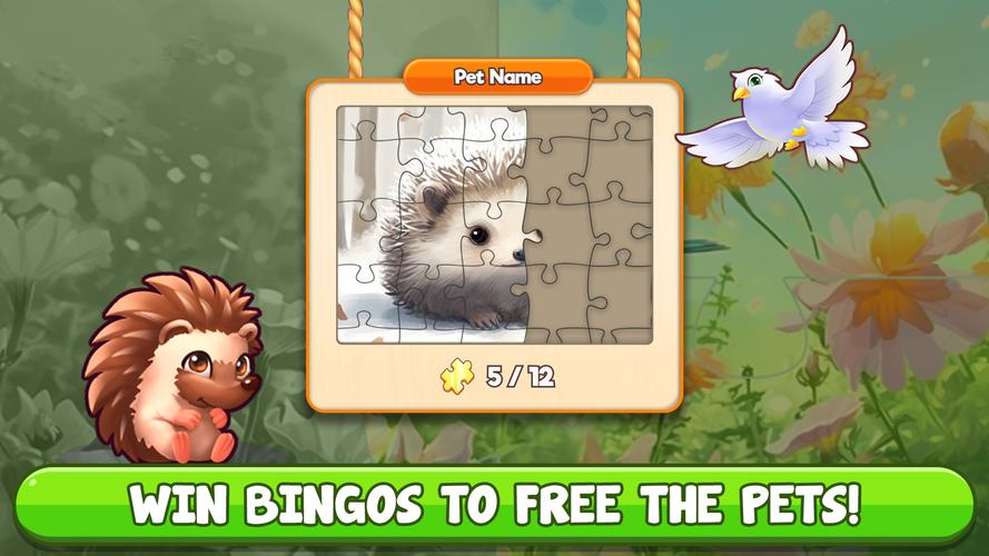 Bingo:  Free the Pets應用截圖第3張