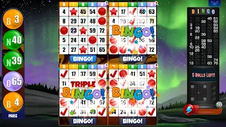 Absolute Bingo应用截图第3张