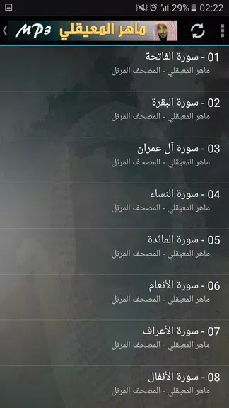 ماهر المعيقلي القران الكريم Screenshot 3