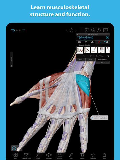 Human Anatomy Atlas 2023应用截图第4张