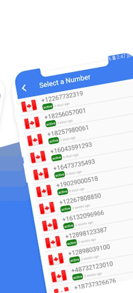 Temp Number - Virtual Number Capture d'écran 2