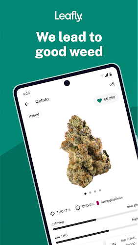 Leafly: Find Cannabis and CBD Captura de pantalla 1